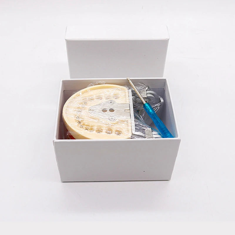 32 Teeth Dental Typodont Model for Dentist Practice