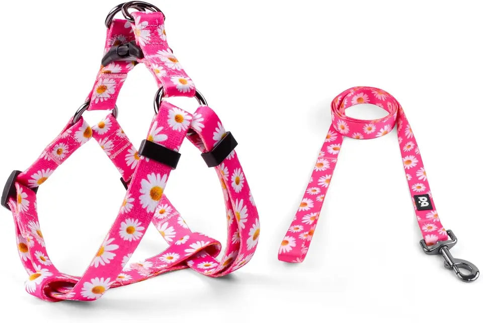 Adjustable Anti Twist Dog Harness Leash Set