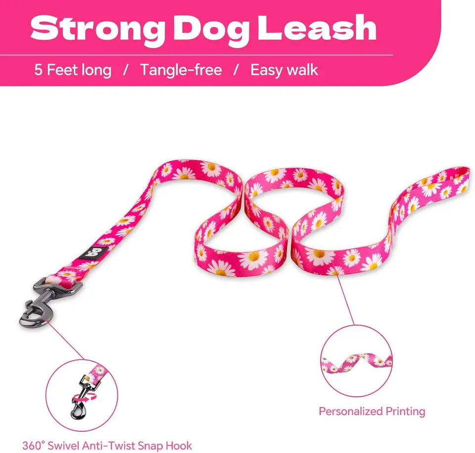 Adjustable Anti Twist Dog Harness Leash Set