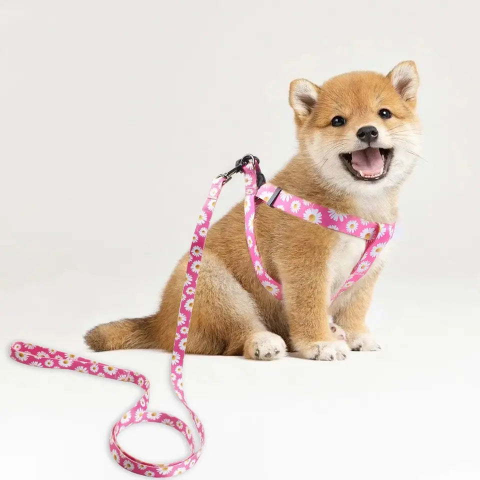 Adjustable Anti Twist Dog Harness Leash Set