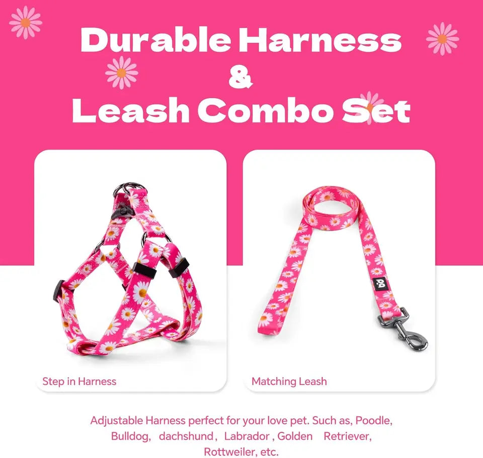 Adjustable Anti Twist Dog Harness Leash Set