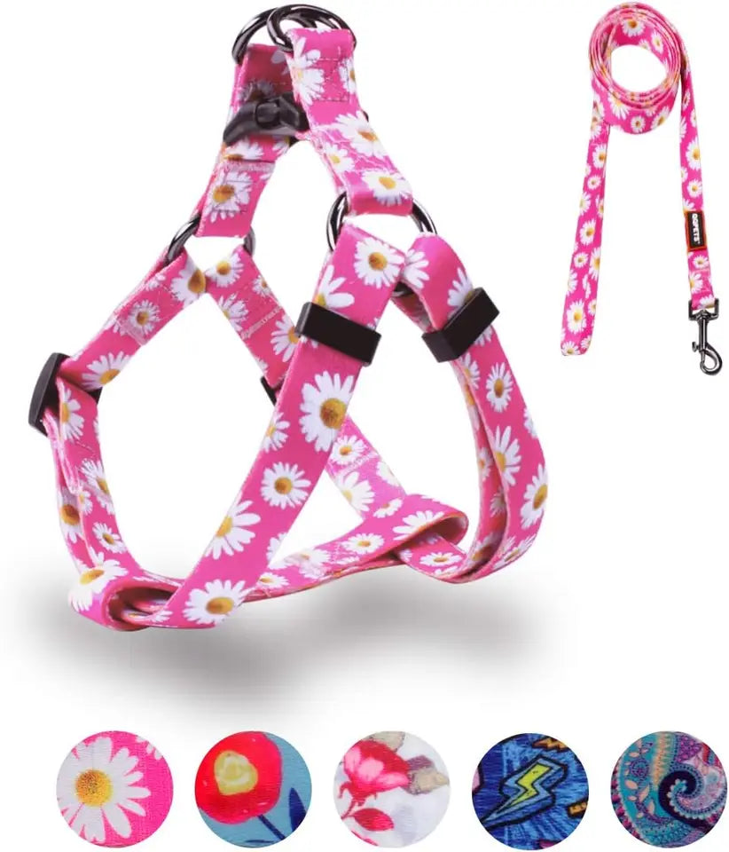 Adjustable Anti Twist Dog Harness Leash Set